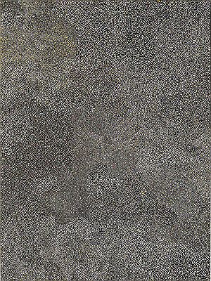 BUSH PLUM, 2000