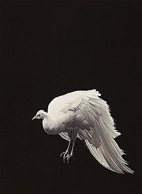 Sample artwork by Sam Leach (Born 1973), known for painting - View similar artists and auction records