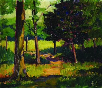 Dappled Path