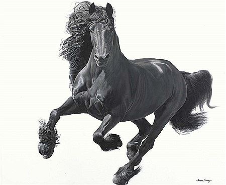 Running Free 2 - Black Friesian