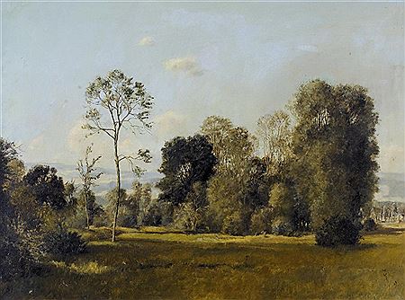 Sommerlicher Waldrand
