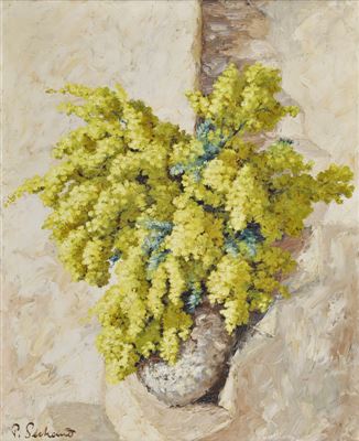 Mimosenstrauss auf der Treppe