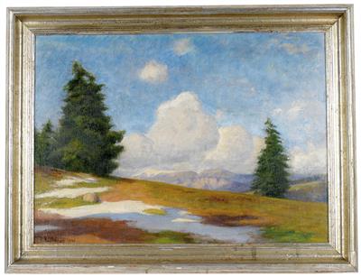 Vorfrühling auf der Alm
