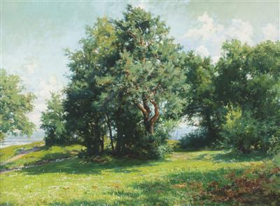 Trees by a River
