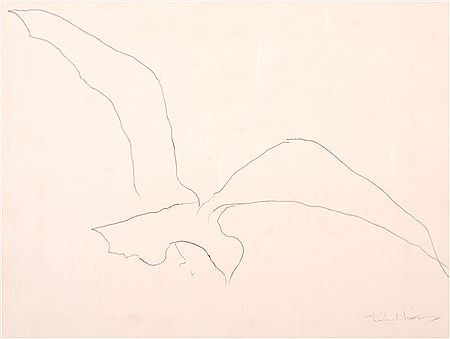Seagull
