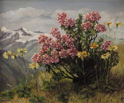 "Almwiese mit Arnika, blühendem Almrausch und Alpenkette"