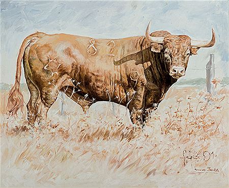 Toro de Jandilla