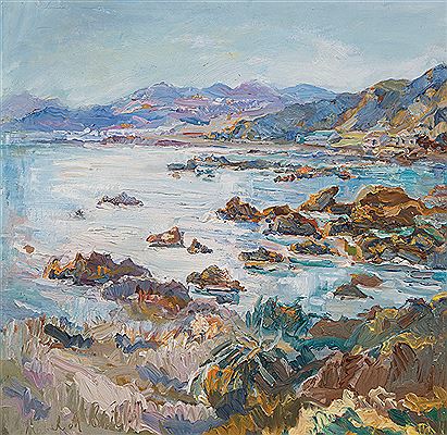 Sea Coast Near Wellington