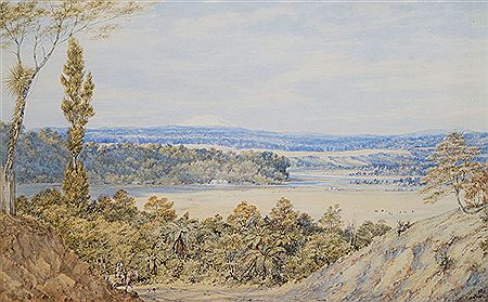 Extensive Landscape with Mt Ruapehu