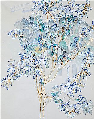 Tree Study, Glenbervie Tce, Thorndon