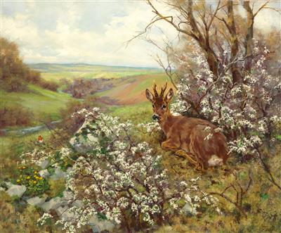 Buck in Spring