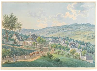 A view of Neustift, Salmannsdorf and the vinyards