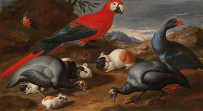 Still life with a parrot, guinea fowl, and guinea pigs