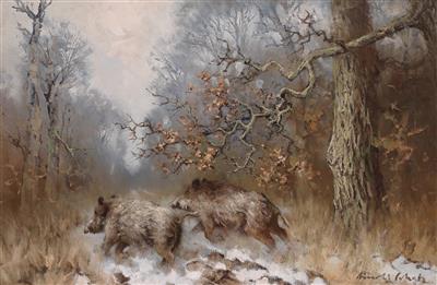 Wild Boar by the Woodland’s Edge