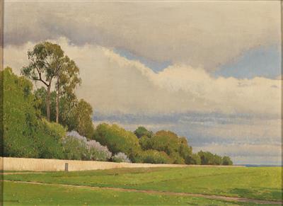 Park landscape