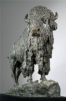 Elk Buffalo
