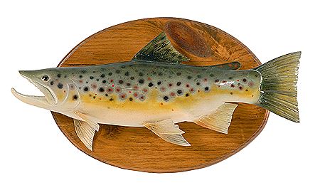LIFE-SIZE CARVED AND PAINTED WOODEN BROWN TROUT
