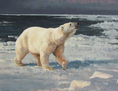 Hunting the Ice Floe