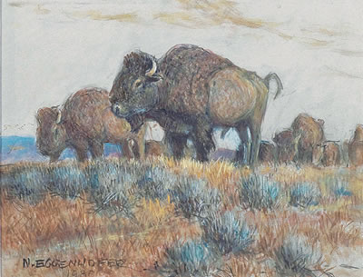 Buffalo Herd