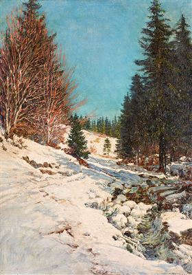 Wintertag im Schwarzwald mit Blick auf einen Bachlauf und Skispuren am Ufer