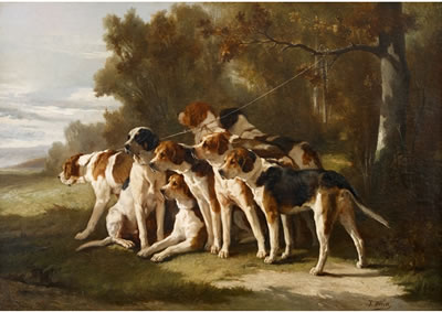 MEUTE DE CHIENS