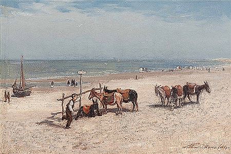 Donkeys on the beach