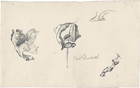 Sample artwork by Ferdinand Olivier (1785 - 1841), known for painting - View similar artists and auction records