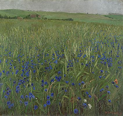 Feld mit Kornblumen