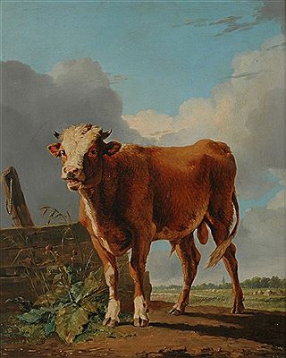 The Bull