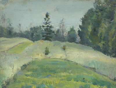 Forest Hillside