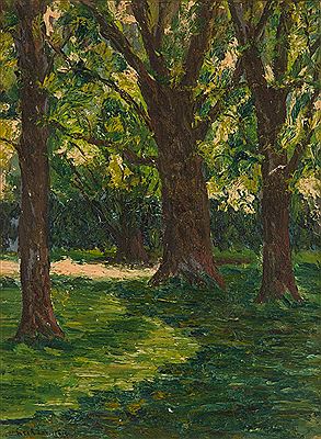 Amongst the Trees
