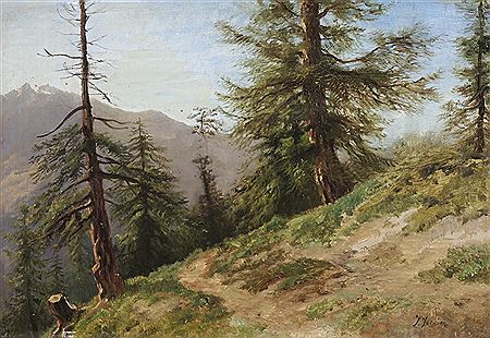 Wanderweg mit Nadelbäumen vor Gebirgskette