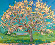Usterapfelbaum im Blust, 1971-1975