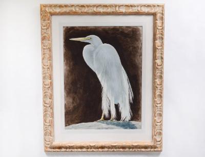 Egret