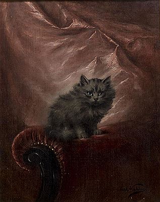 KITTEN ON A SOFA