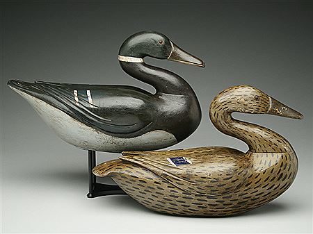 Rigmate pair of mallards (2)