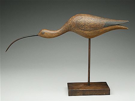 Running curlew