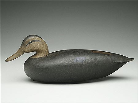 Hollow black duck