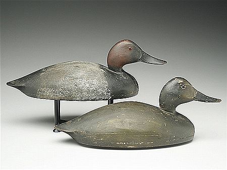 Canvasback hen and drake (2)