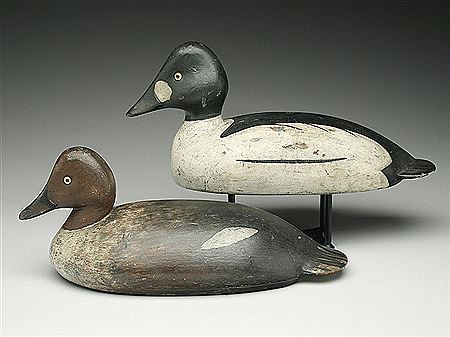 Very rare rigmate pair of goldeneye