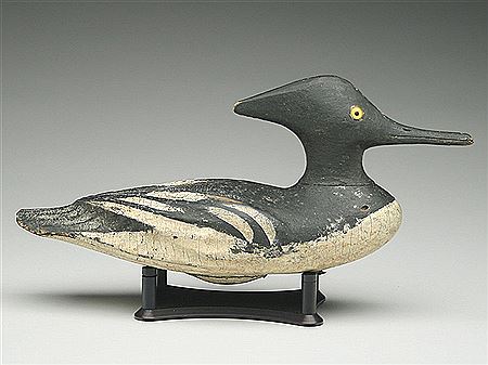Early Hooded Merganser hen