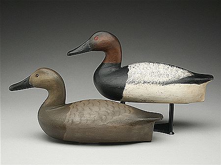 Rare pair of canvasbacks