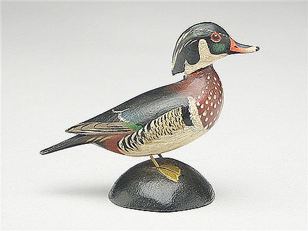 Miniature wood duck drake