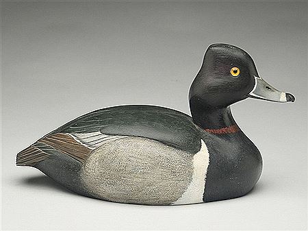 Ringbill drake
