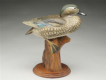 Full bodied wood duck hen on stump
