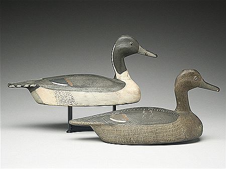 Rigmate pair of pintails