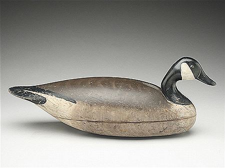 Canada goose
