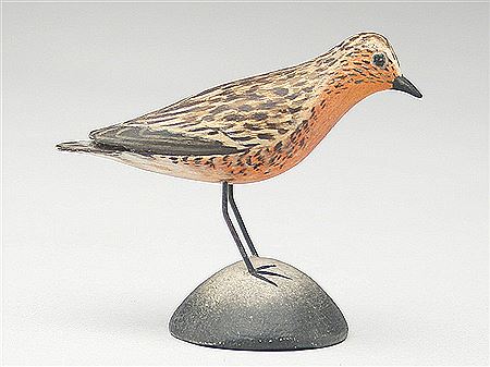 Miniature robin snipe