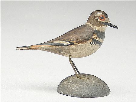 Miniature killdeer