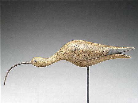 Running curlew